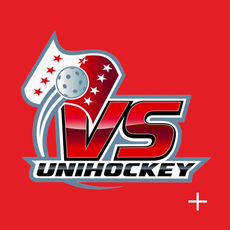 Association Valaisanne de Unihockey